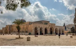 Architektur des Islam*Prestel Verlag