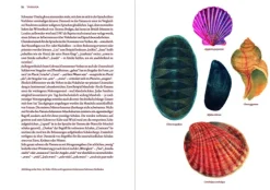 Bibliograph. Instit. GmbH Karten & Atlanten*Atlas der verlorenen Sprachen