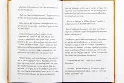 Beltz Verlagsgruppe Krimis, Thriller, Horror*Außer Kontrolle