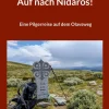 Auf nach Nidaros!*BoD - Books on Demand Hot