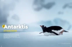 NG Buchverlag GmbH Bildbände-AugenBlicke