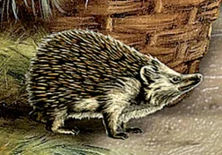 Coppenrath Wandkalender-A4-Wandkalender - Weihnacht im Stall