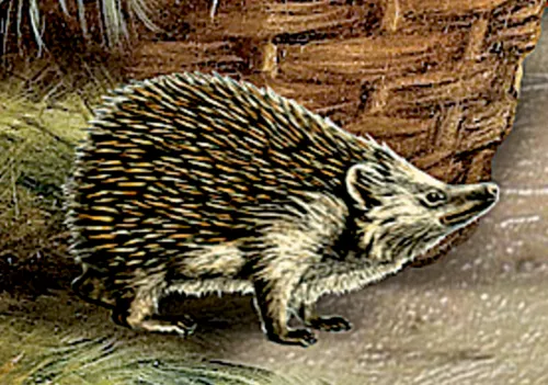 Coppenrath Wandkalender-A4-Wandkalender - Weihnacht im Stall