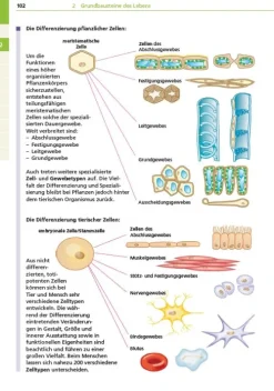Bibliograph. Instit. GmbH Abi Trainer·Biologie-Basiswissen Schule - Biologie Abi