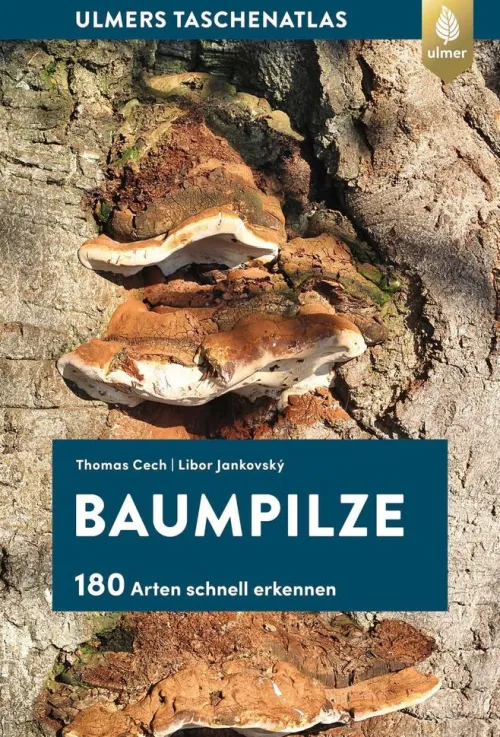 Ulmer Eugen Verlag Umweltwissenschaft*Baumpilze