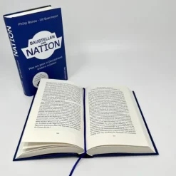 Ullstein Politik-Baustellen der Nation