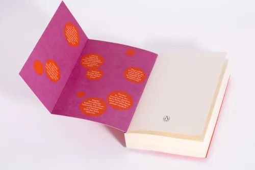 Penguin TB Verlag Sachbücher*Beklaute Frauen