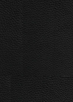 Panini Verlags GmbH Horror*Berserk Master Edition 04