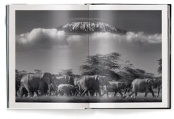 Beusker*teNeues Verlag GmbH Discount