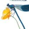 Cornelsen Verlag GmbH Nach Schulform·Sekundarstufe|Nach Fächern·Biologie-Biosphäre Sekundarstufe I 7./8. Schuljahr- Gymnasium Berlin/Brandenburg - Arbeitsheft