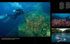 Bis an den Rand der Welt*Prestel Verlag Sale