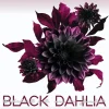 Kinder VAJOSH Krimis-Black Dahlia