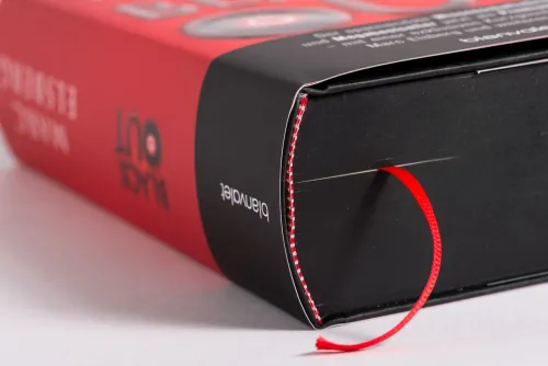 Blanvalet Verlag Technothriller*BLACKOUT - Morgen ist es zu spät