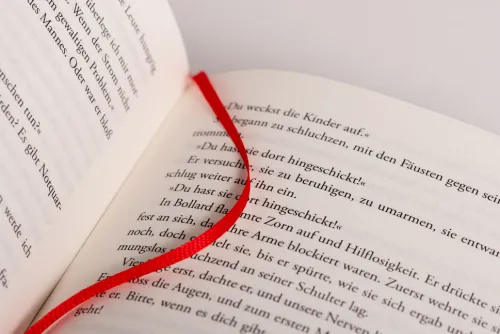 Blanvalet Verlag Technothriller*BLACKOUT - Morgen ist es zu spät