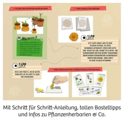 Franckh-Kosmos Forschen & Entdecken-Blüten-Presse