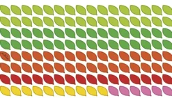 Neumann Verlage GmbH & Co Immerwährender Kalender*Blätter immerwährender Geburtagskalender