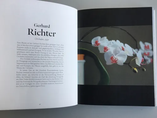 DuMont Buchverlag GmbH Kunst & Architektur*Blumen in der Kunst