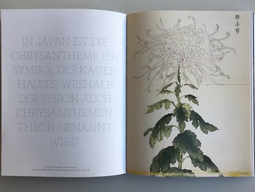 DuMont Buchverlag GmbH Kunst & Architektur*Blumen in der Kunst