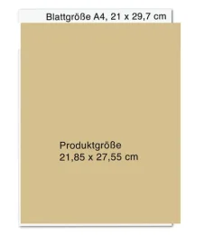 Droemer HC Künstler:Innen Im Fokus-Bob Dylan: Mixing Up the Medicine