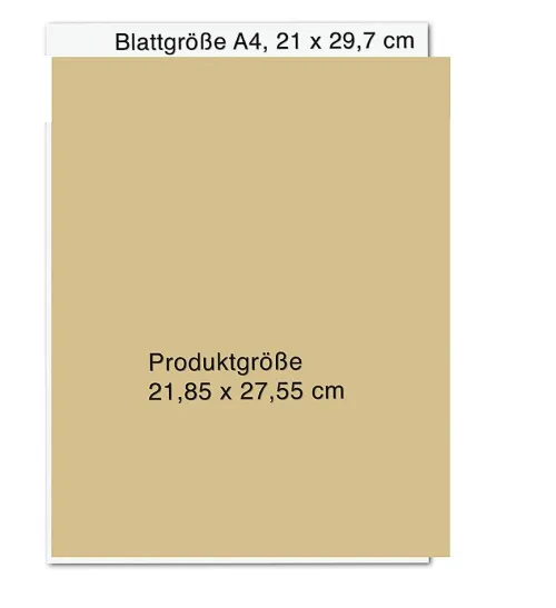 Droemer HC Künstler:Innen Im Fokus-Bob Dylan: Mixing Up the Medicine