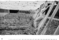 Stadler Kalender Immerwährender Kalender*BodenseeAKT. Ein immerwährender Kalender