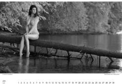 Stadler Kalender Immerwährender Kalender*BodenseeAKT. Ein immerwährender Kalender