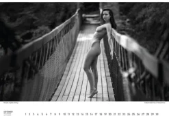 Stadler Kalender Immerwährender Kalender*BodenseeAKT. Ein immerwährender Kalender