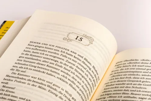 Heyne Taschenbuch Fantasy & Science Fiction|Romantasy*Born of Blood and Ash - Eine Liebe im Schatten