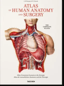 Taschen GmbH Künstler:Innen Im Fokus*Bourgery. Atlas of Human Anatomy and Surgery