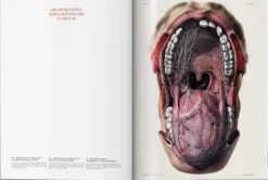 Taschen GmbH Künstler:Innen Im Fokus*Bourgery. Atlas of Human Anatomy and Surgery