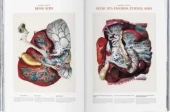 Taschen GmbH Künstler:Innen Im Fokus*Bourgery. Atlas of Human Anatomy and Surgery