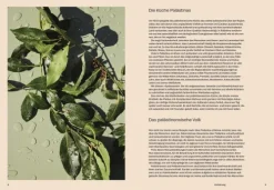 Dorling Kindersley Verlag Vegan-Boustany