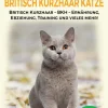 Britisch Kurzhaar Katze*epubli
