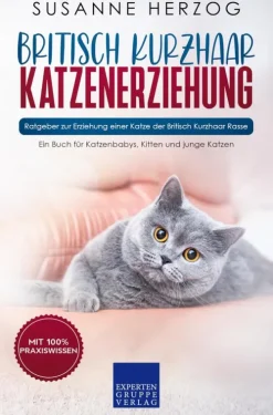 Expertengruppe Verlag Garten, Natur, Tiere*Britisch Kurzhaar Katzenerziehung - Ratgeber zur Erziehung einer Katze der Britisch Kurzhaar Rasse