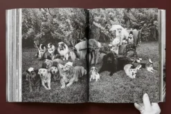 Taschen GmbH Künstler:Innen Im Fokus-Bruce Weber. The Golden Retriever Photographic Society