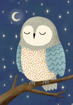 Buchkalender 2026: Lebe wild und voller Wunder*Groh Verlag Best