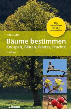 Haupt Verlag AG Biologie-Bäume bestimmen - Knospen, Blüten, Blätter, Früchte