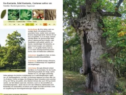 Haupt Verlag AG Biologie-Bäume bestimmen - Knospen, Blüten, Blätter, Früchte