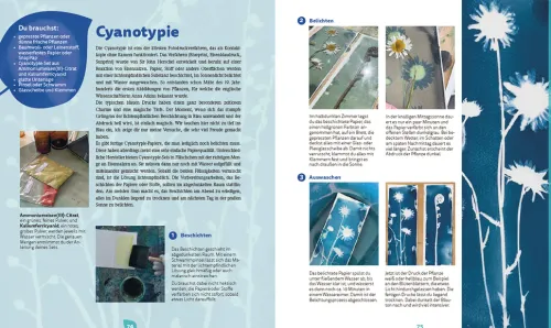 Haupt Verlag AG Ratgeber-Bunte Blätter