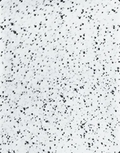 Steidl GmbH & Co.OHG Italienische Bücher-By Means of the Sun