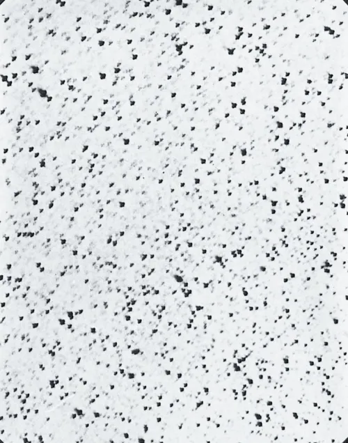 Steidl GmbH & Co.OHG Italienische Bücher-By Means of the Sun