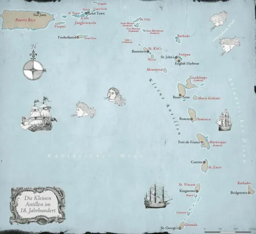 Knaur Taschenbuch Orte & Länder-Captain Nelson - Unter der Flagge des Königs