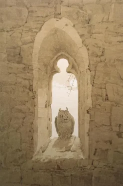 Insel Verlag GmbH Literatur & Kunst-Caspar David Friedrich