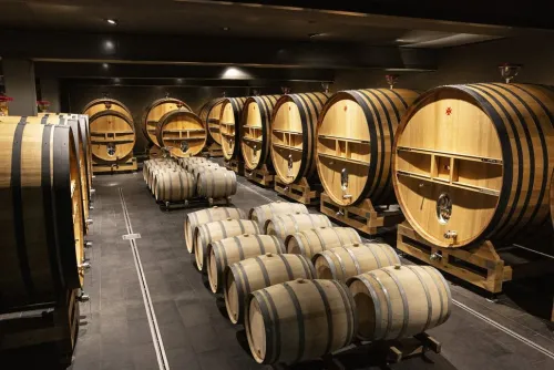 AT Verlag Wein & Getränke-Champagner - das Buch