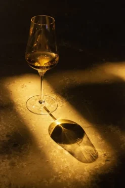 AT Verlag Wein & Getränke-Champagner - das Buch