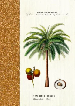 Coppenrath Verlag Notizbücher & -Blöcke-Coppenrath - Sammlung Augustina - Notizhefte DIN A6, sort.