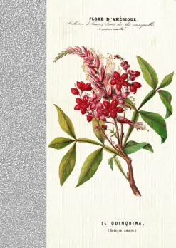 Coppenrath Verlag Notizbücher & -Blöcke-Coppenrath - Sammlung Augustina - Notizhefte DIN A6, sort.