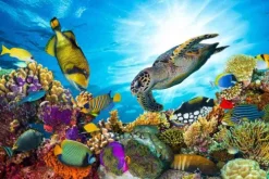 Cover-your-desk Schreibtischunterlagen*Schreibtischunterlage für Kinder Unterwasserwelt, aus hochwertigem Vinyl , 60 x 40 cm