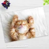 Cover-your-desk Schreibtischunterlagen-Schreibtischunterlage für Kinder und Erwachsene Süßes Katzenbaby beim Schlafen, aus hochwertigem Vinyl , 60 x 40 cm