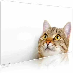 Cover-your-desk Schreibtischunterlagen-Schreibtischunterlage für Kinder und Erwachsene Katzenblick, aus hochwertigem Vinyl , 60 x 40 cm